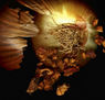 explosion