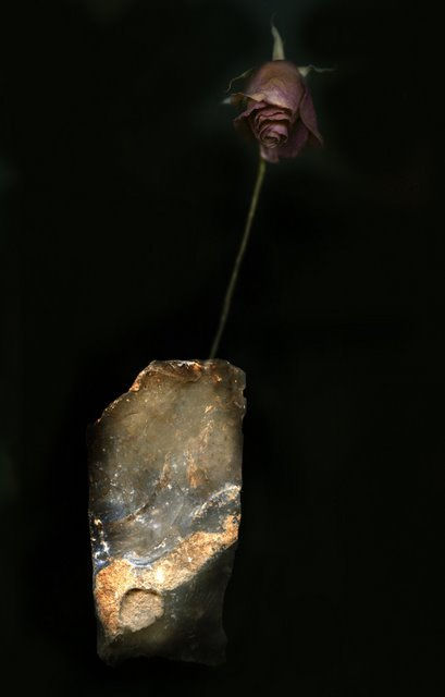 rosa de piedra