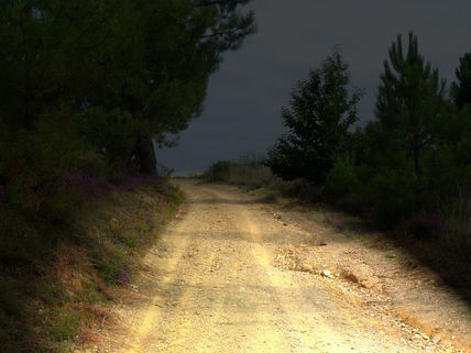 Camino al negro