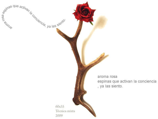 aroma rosa Mixta Figurativa