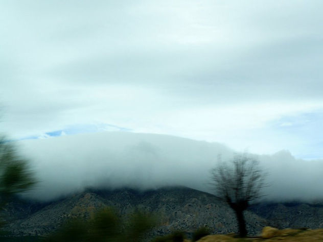 niebla