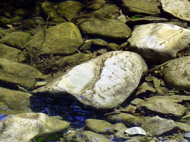 piedra detenida