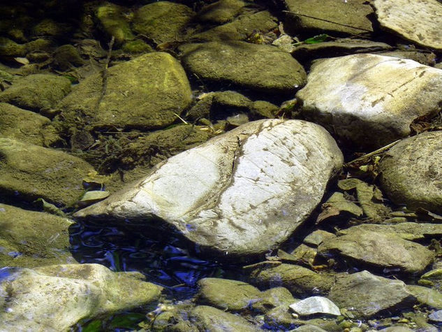 piedra detenida 