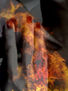 fuego