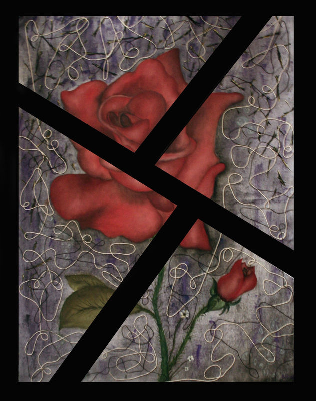 rosa