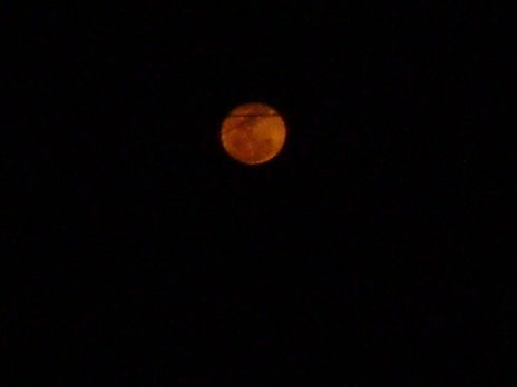 Luna nuestra
