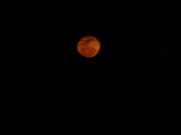 LUNA NUESTRA