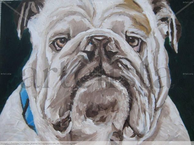 Bulldog Óleo Papel Animales