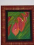 Flor de seibo