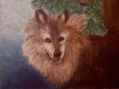 Lobo en la noche