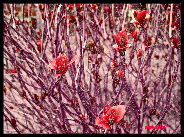 nuevos brotes de esperanza Naturaleza Color (Digital)