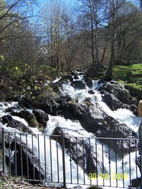 Cascada