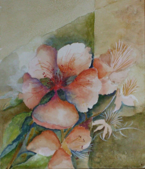 Flores de mi jardín II