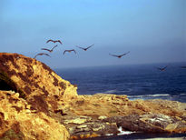 La danza de las aves