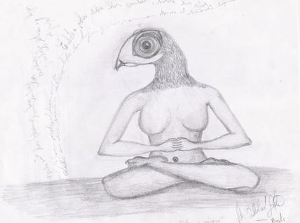 Cabeza de pájaro