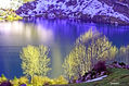 lago enol