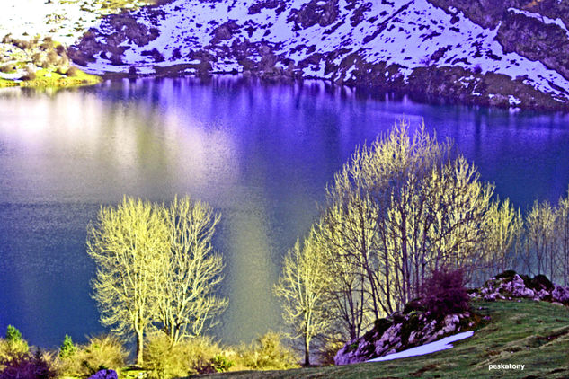 lago enol Nature Color (Digital)