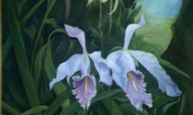 Naturaleza