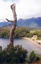 PAISAJE SUREÑO