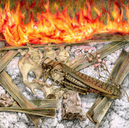 Naturaleza muerta V