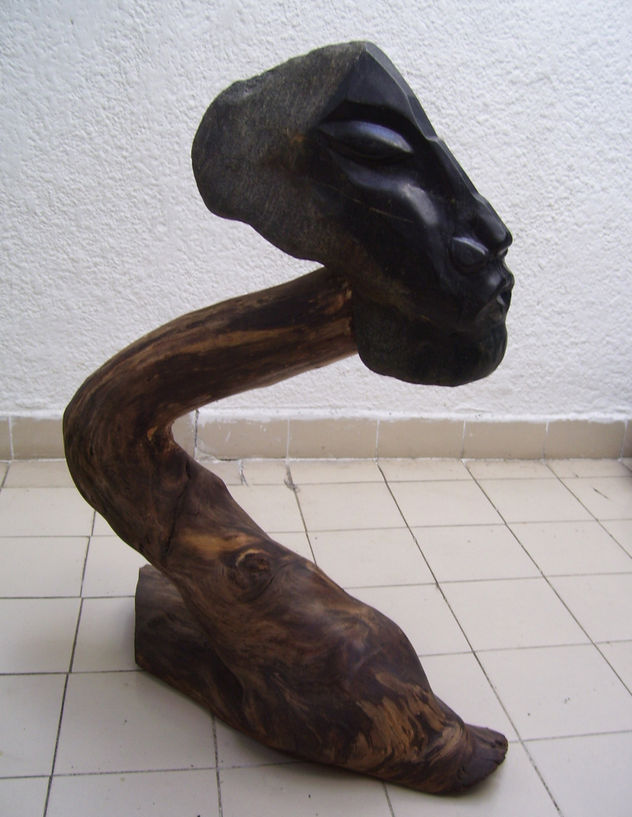 "AMARÚ"
