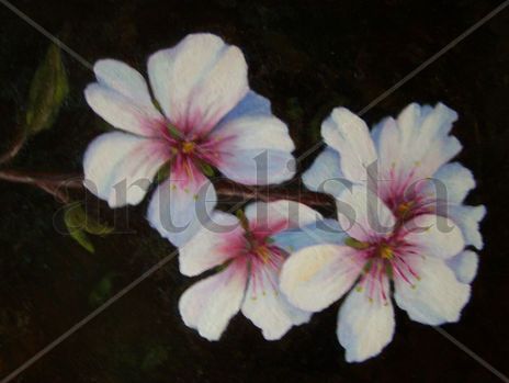 Flor  almendro