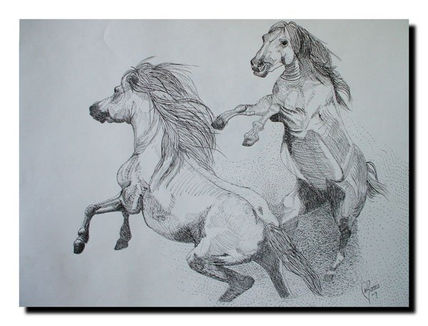 Caballos