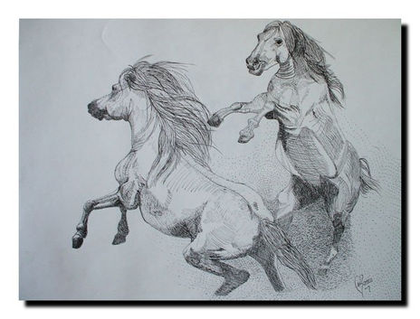 Caballos