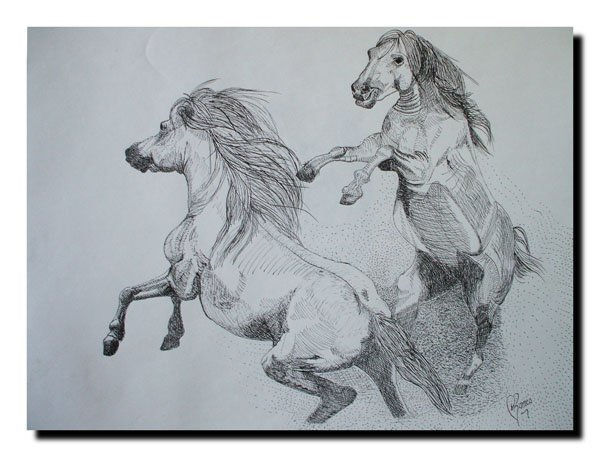 Caballos Tinta