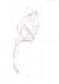 Alcachofa