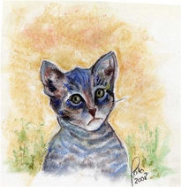 Mirada gatuna