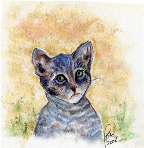 mirada gatuna 