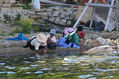 Limpiando pescado en la orilla del lago III