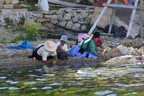 Limpiando pescado...