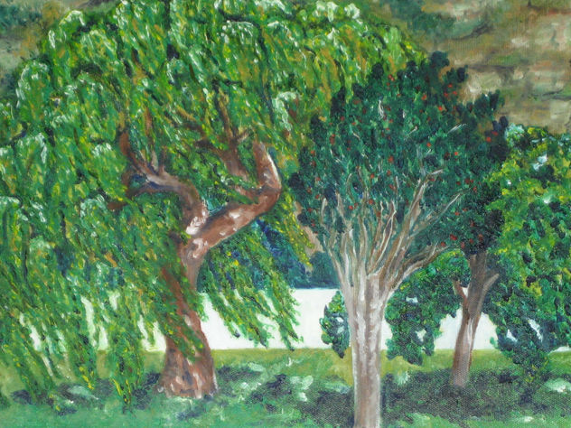 arbres