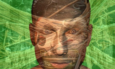 DIGITARTE