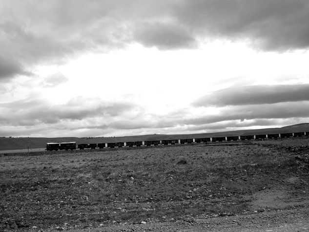 Tren patagonia Viajes Blanco y Negro (Digital)