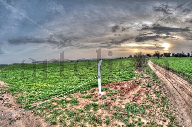 atardecer en la campiña