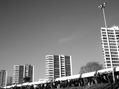 Feria