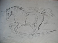 Caballo 2