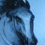 caballos thumbnail 1