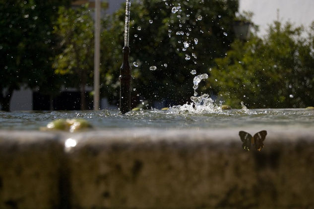 fuente de santa Isabel 