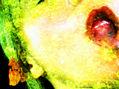 nectar