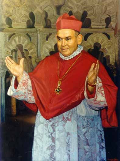 Retrato de Excmo.Sr.D. Miguel Castillejo Gorraiz   (Códoba ) 