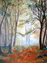 Bosque nublado