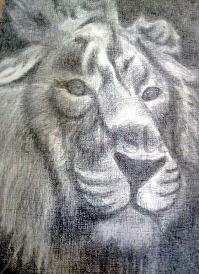 Mi tierno rey..... león... Graphite