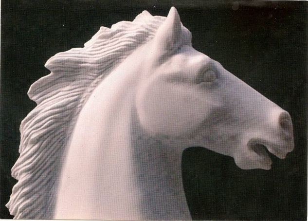 Cabeza de caballo Marble Figurative