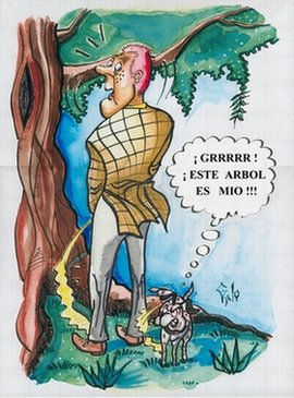 DERECHO CANINO