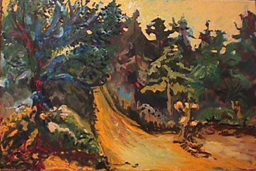CAMINO AMARILLO