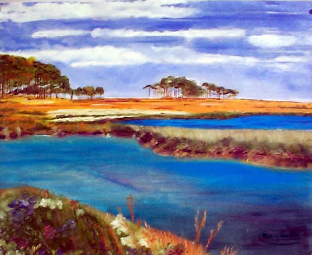 Llanos y Lagunas Oil Canvas Landscaping